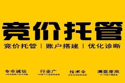 SEM广告投放优化案例研究